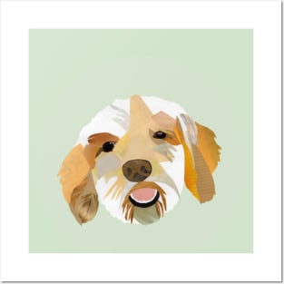 Buddy the Cockapoo Posters and Art